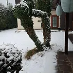 Viering B&B *
