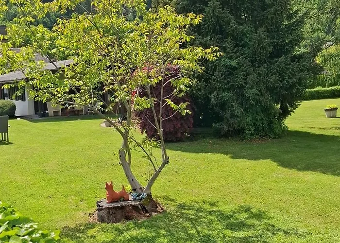 Viering * Mollbrucke