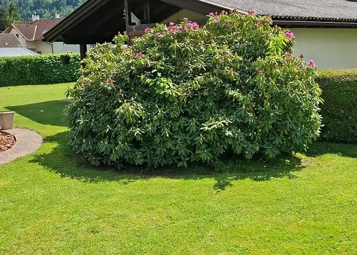 Viering ベッド・アンド・ブレックファスト Mollbrucke